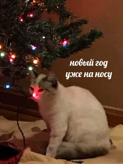 Новый год уже на носу