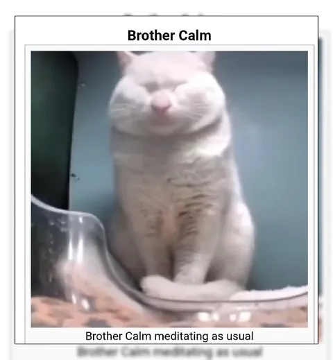 Brother Calm Meditating