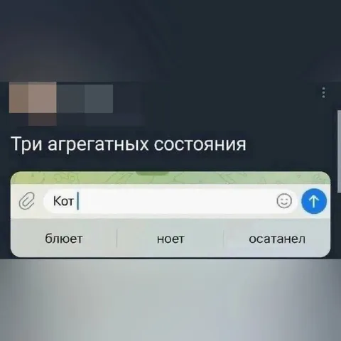 Три агрегатных состояния кота