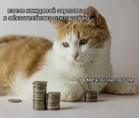 Откладываю мечты после зарплаты