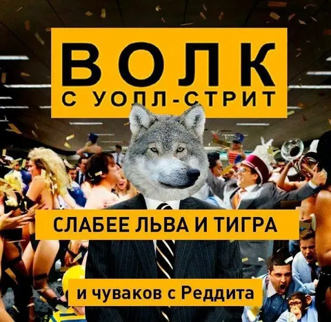 Волк слабее льва и тигра