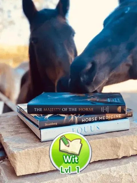 Horse Wit Level 1
