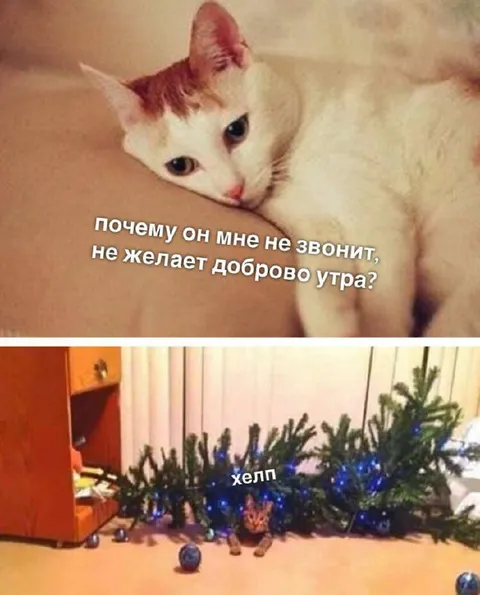Почему он не звонит утром