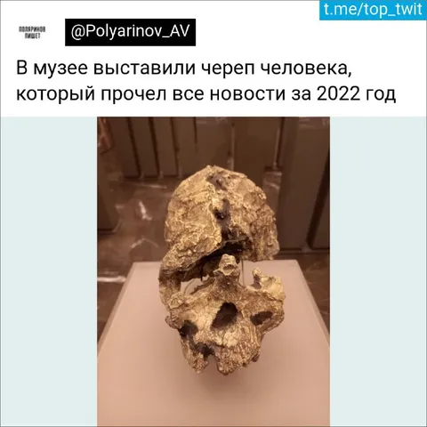 Череп, прочитавший все новости