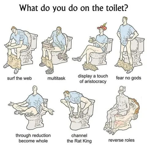 What Do You Do on the Toilet?