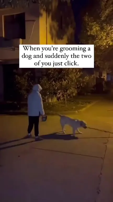 When You and Your Dog Click