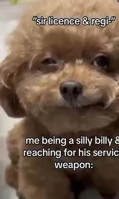 Silly Puppy Avoids the License Check