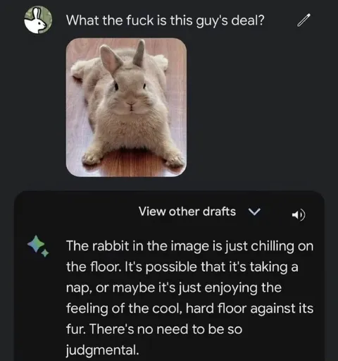 Rabbit Just Chilling on the Floor