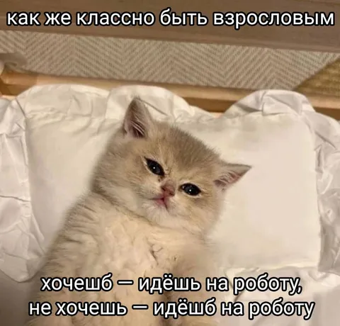 Как же классно быть взрослым