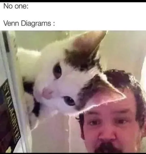 No One Venn Diagrams Cat