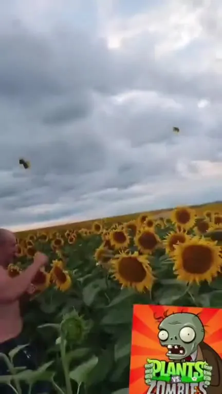 Man Runs Through Sunflower Field