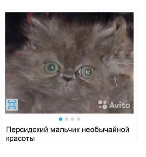 Персидский мальчик необычайной красоты