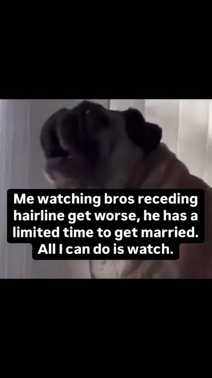 Watching Bro's Hairline Recede
