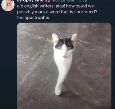 Old English Writers Discover Apostrophes
