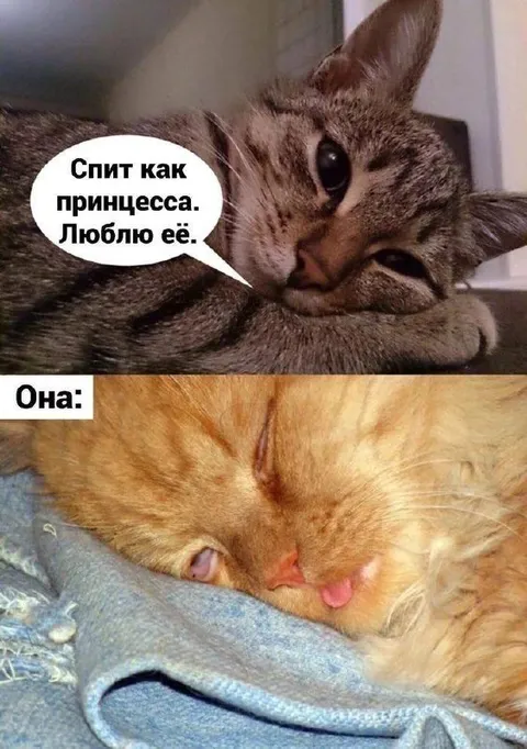 Спит как принцесса, а она