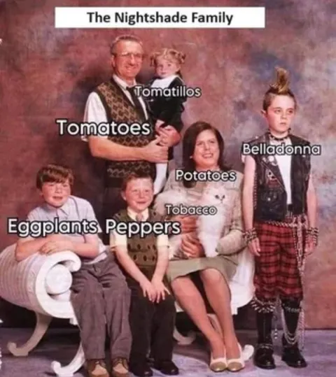 The Nightshade Family Portrait