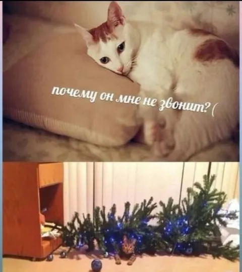 Почему он мне не звонит