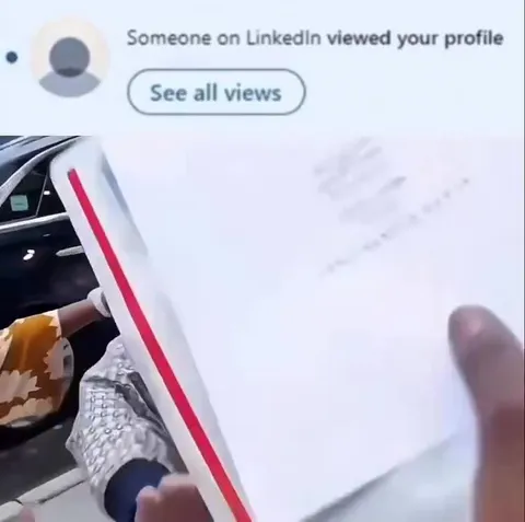 LinkedIn Profile View Panic