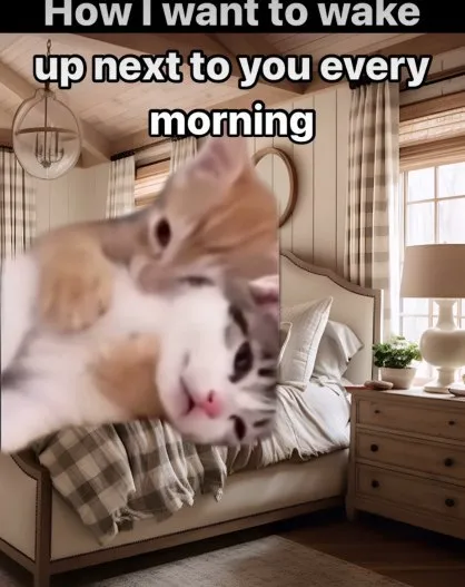 Wake Up Next to You