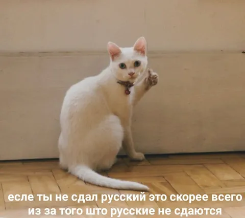 Русские не сдаются