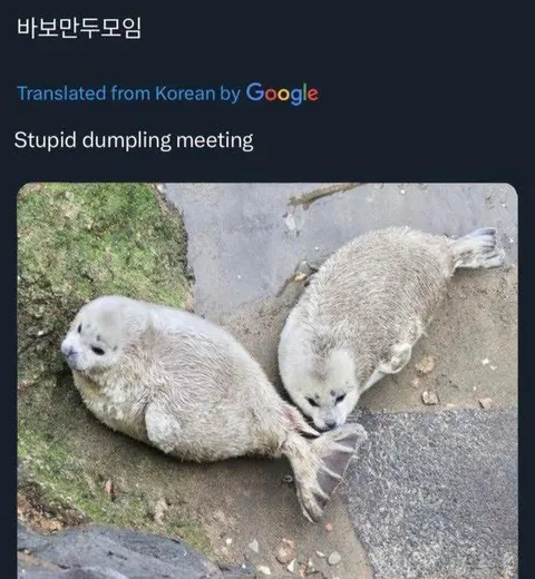 바보만두모임