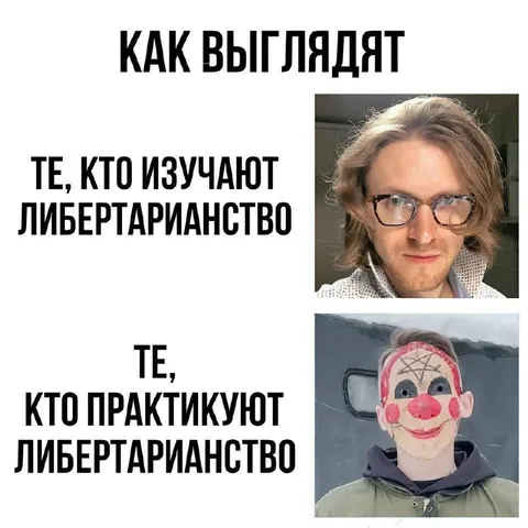 Как выглядят либертарианцы