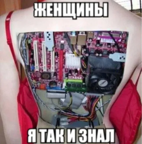 Женщины — я так и знал
