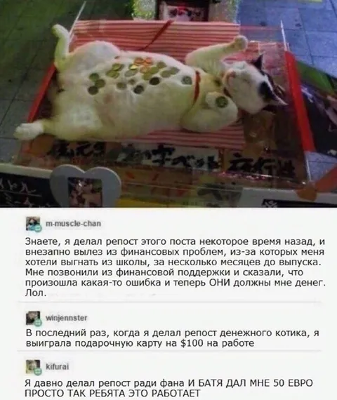 Денежный котик действительно работает