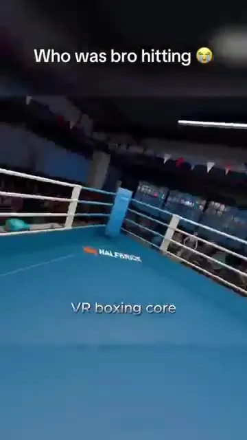 VR Boxing Core Dodge