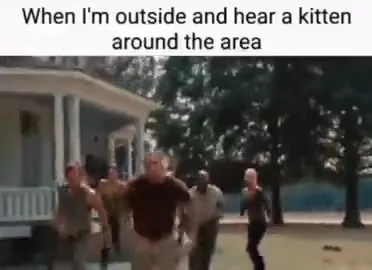Men Rush to Hear a Kitten