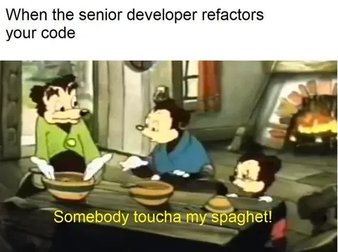 Senior Developer Touches My Spaghetti