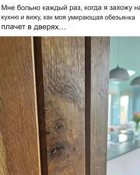 Умирающая обезьянка плачет в дверях