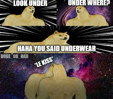 Doge Underwear Prank Kiss