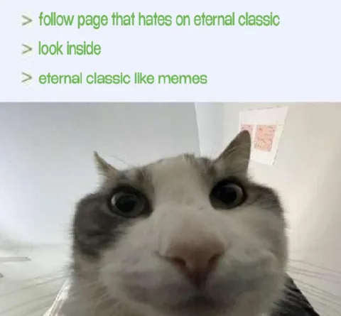 Eternal Classic Cat Reaction