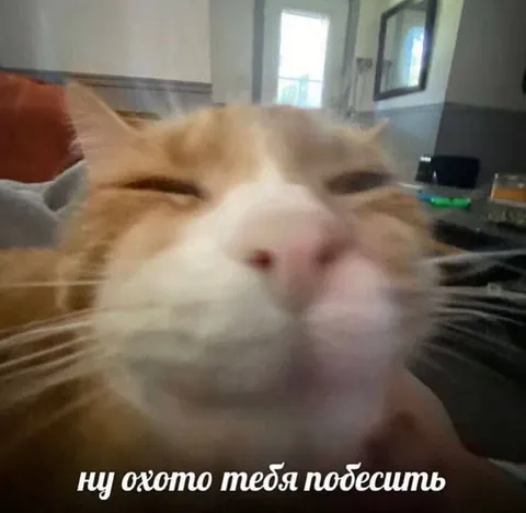 Ну охото тебя побесить