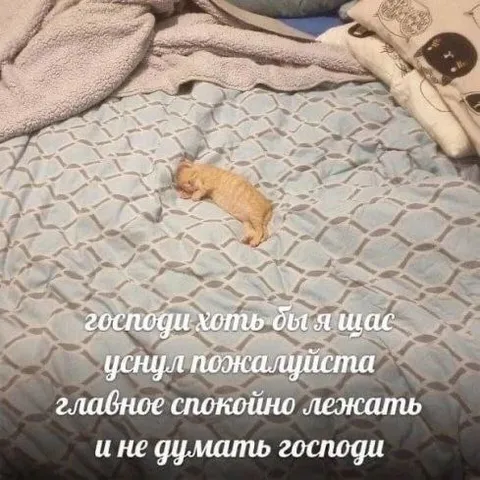 Котёнок пытается уснуть
