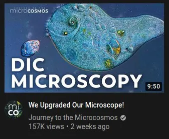 DIC Microscopy Thumbnail