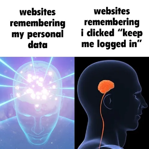 Websites Remembering Your Data