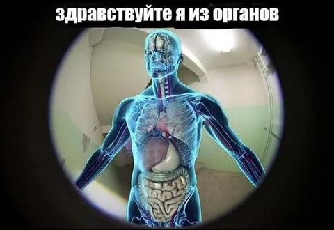 Здравствуйте, я из органов