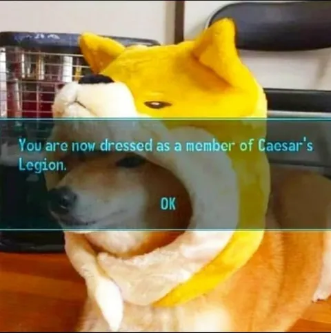 Caesar's Legion Dog