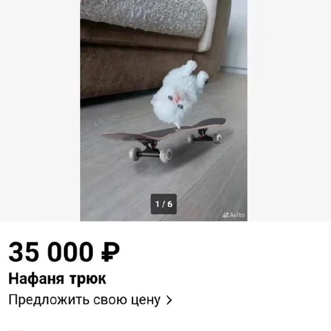 Нафаня на скейтборде за 35 тысяч