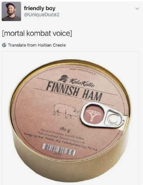 Mortal Kombat Finnish Ham
