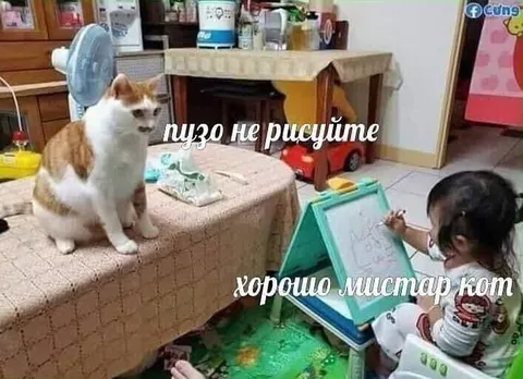 Кот не рисует