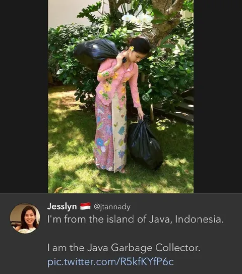 Java Garbage Collector