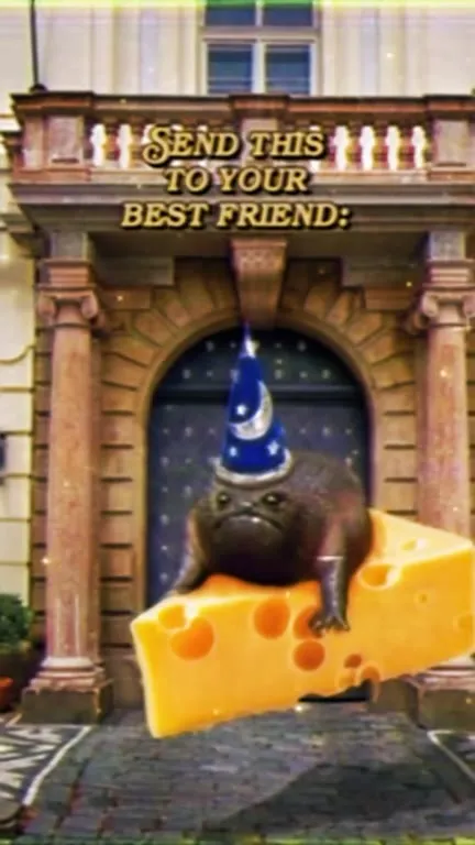 Best Friend Cheese Rat