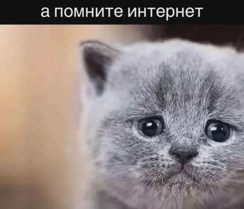 А помните интернет