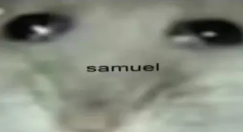 Samuel the Dancing Hamster