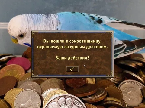 Попугай охраняет сокровищницу
