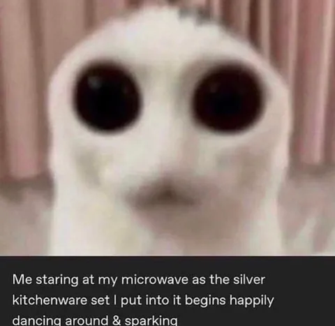 Microwave Silverware Sparks