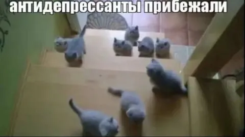 Антидепрессанты прибежали к хозяину